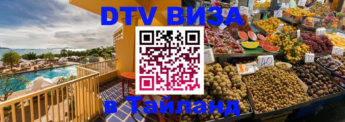 Оформление DTV визы под ключ: стоимость и тарифы, только загранпаспорт - Бишкек 